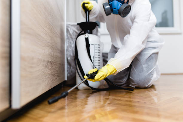 Professional Pest Control in Woodward, IA