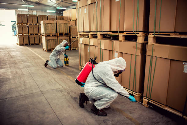 Best Pest Control Near Me  in Woodward, IA