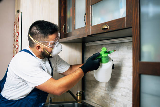 Best Emergency Pest Control  in Woodward, IA