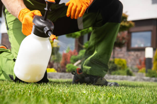 Best Cockroach Control Services  in Woodward, IA