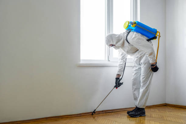 Best Bed Bug Extermination  in Woodward, IA