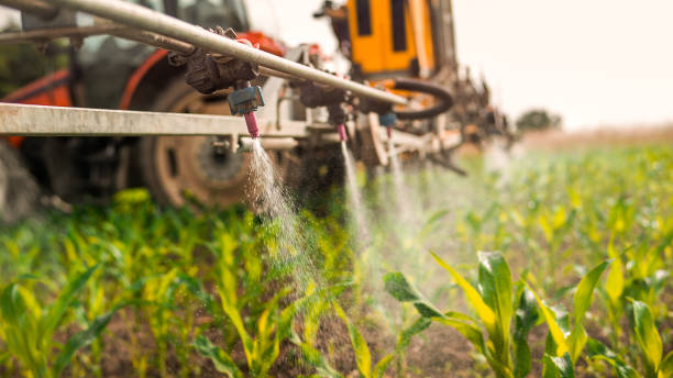 Best Pest Control Cost  in Woodward, IA